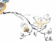 算命的白虎是什么意思 算命先生說(shuō)的白虎是什么意思