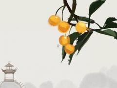 在建設鄉村示范區八字經驗 在建設鄉村振興示范區過程中形成領創