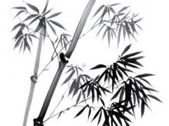 一九七七年屬蛇人今年的婚姻,一九七七年屬蛇的婚配