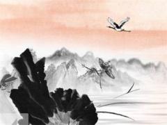 屬雞男和屬鼠女配嗎,屬雞男和屬鼠女的配嗎