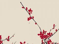 八字印財官是什么意思 印財官好不好