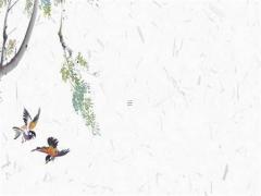 易經(jīng)算命生辰八字婚姻 易經(jīng)生辰八字算命命運(yùn)