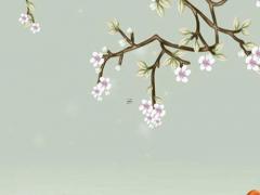 陪駕了3天總結一個新手上路 不適合開車的6種女人