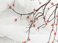 名字契合度測試 名字契合度測試在哪？