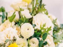 10月24日誕生石生辰石：蛋白石