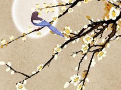 怎樣算出八字各五行多少 八字五行怎么計(jì)算