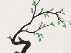 癸丑和庚申婚姻幸福嗎 庚申和葵丑