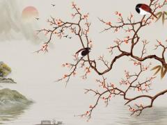 外來媳婦本地郎尚未婚配第幾集 外來媳婦本地郎真相之后