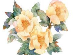 招偏財橫財的佛牌 招財效果最明顯的佛牌