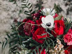 射手座最疼愛的星座