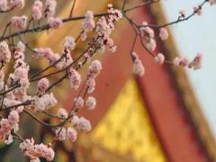 如何知道生辰八字喜神是什么 怎么看生辰八字喜用神