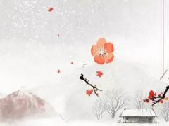 抖音可以直播八字命理嗎 直播看八字