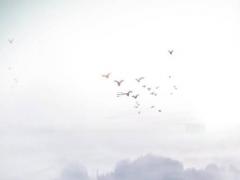 五行八字在線查詢 五行八字查詢起名