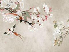 田宅宮化祿,田宅宮自化忌配偶是已婚的嗎