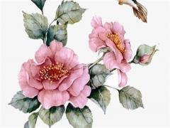 四個月寶寶拉肚子脫奶怎么辦 四個月寶寶拉肚子還吐奶怎么回事