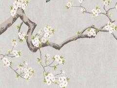 屬龍的人今年的感情怎么樣 屬龍人今年的愛情運如何