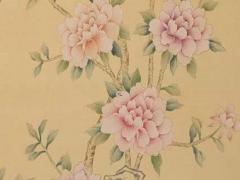 2024年龍寶寶命運最好 2024年龍寶寶出世旺父母