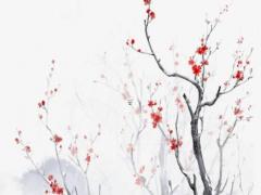 屬豬的女孩子今年姻緣 屬豬女今年婚姻怎么樣