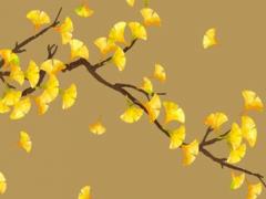 屬性與婚姻是否相配 屬性相配真的準嗎