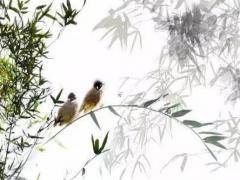 獨特好聽的運輸公司名字 熱門好聽的企業名字