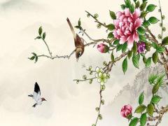 屬蛇的人適合種的綠植,屬蛇的種什么植物旺財又旺運