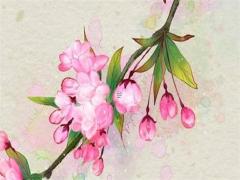 獅子座男生對喜歡的人稱呼是姐姐還是全名 獅子男稱呼另一半什么