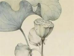 奇門測婚姻用神與方法 奇門測感情用神