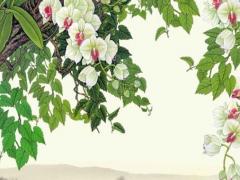 2024年正月初幾適合結(jié)婚 2024年正月初四結(jié)婚好嗎