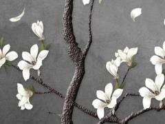 美人尖的女人是貴命嗎 去掉美人尖后運氣變好