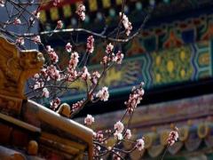 婆家總算女方生辰八字什么意思 婆婆要媳婦生辰八字干嘛