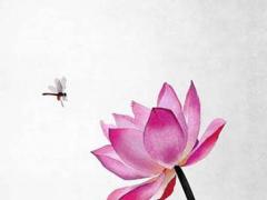 算命批八字打一數(shù)字 算命批八字準(zhǔn)嗎