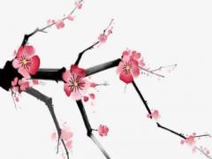 代表感情很坎坷嗎英文 感情坎坷怎么形容