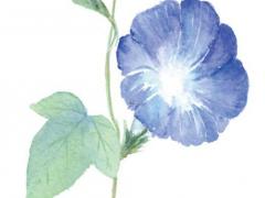 我不知道自己的生辰八字 不知道自己生辰八字的人命好嗎