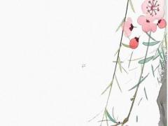 屬龍的結婚吉日,屬龍的結婚好日子