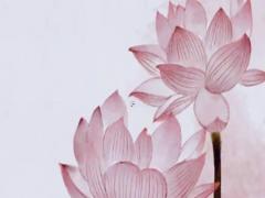 易經(jīng)37卦求事業(yè)詳解 36卦事業(yè)