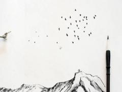 屬虎和屬馬婚姻,屬虎與屬馬的婚姻狀況