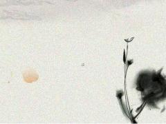 虎年給寶寶起個乳名 虎寶寶乳名大全2023