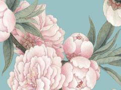 屬蛇女和屬猴男配嗎婚姻 屬蛇女跟屬猴男相配嗎