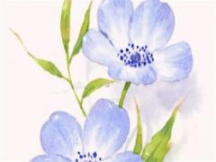 屬羊的八字和屬什么的最合 屬羊的是什么八字