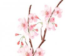 八字說桃花是什么意思 命理八字桃花