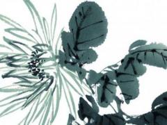 男屬猴的屬相婚配表大全,男屬猴的婚配表大全集