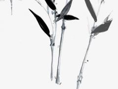 出生日測試精靈性格 生日測試性格特點