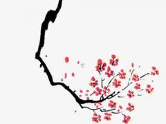 微信網名女生成熟簡短好聽的 微信網名大全2021最新版的女生成熟