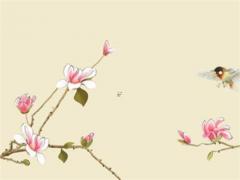 被壓制八字怎樣破解 如何破解八字被壓