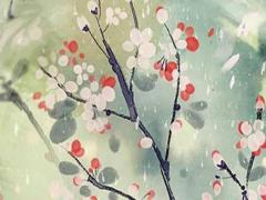 1996年屬鼠人一生命運如何 十鼠九苦