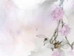 電話號碼查吉兇號免費查詢,生辰八字選電話號碼匹配最佳