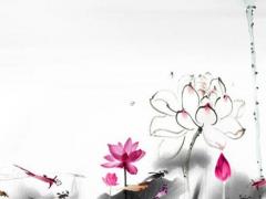 丙子日柱八字實例 丙子日柱最忌諱婚姻