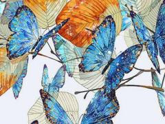 幾月出生的龍寶寶最好命2024 龍年最忌哪個月出生男孩