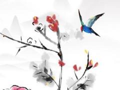 屬龍和雞生個(gè)屬什么孩子好,屬龍和屬雞生什么寶寶最好