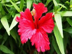 夢見撿錢了是什么預兆女人